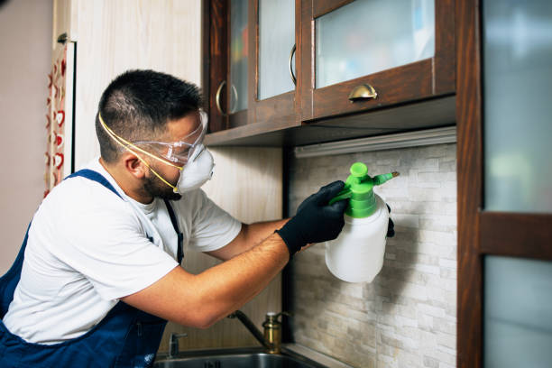 Best Termite Control Services  in Fords, NJ