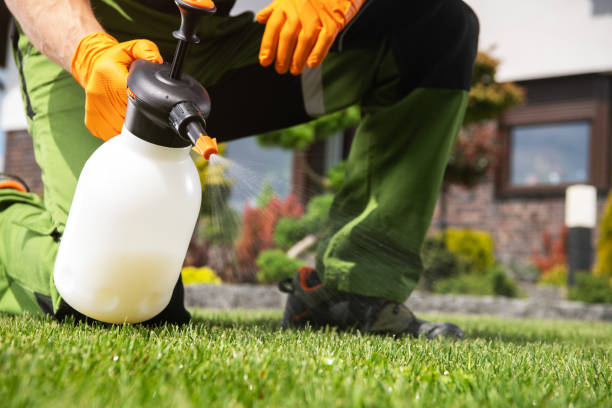 Best Wildlife Control Services  in Fords, NJ