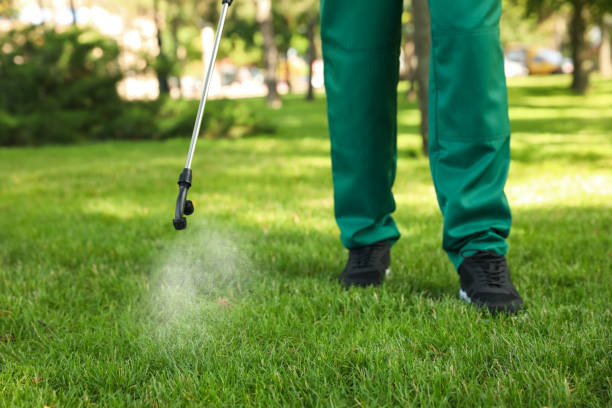 Best Residential Pest Control  in Fords, NJ