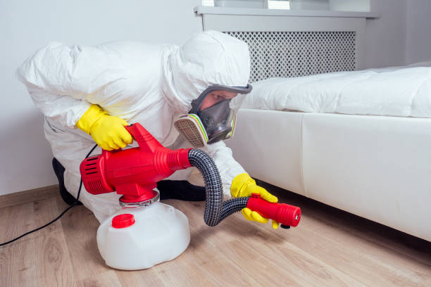 Best Pest Control Near Me in Fords, NJ