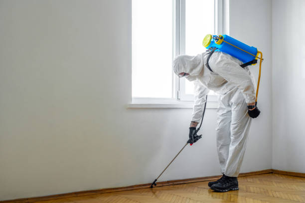 Best Wasp Removal Services  in Fords, NJ