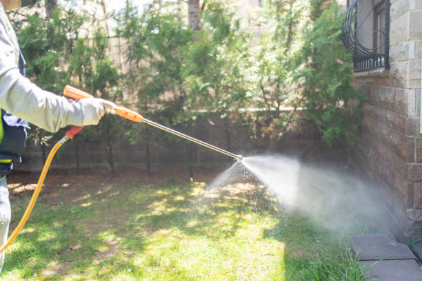 Best Local Pest Control Services  in Fords, NJ