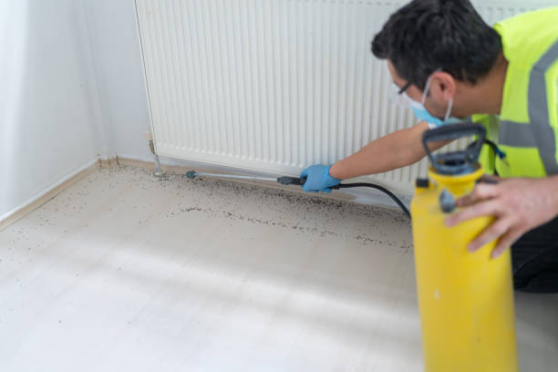 Best Flea Control Services  in Fords, NJ