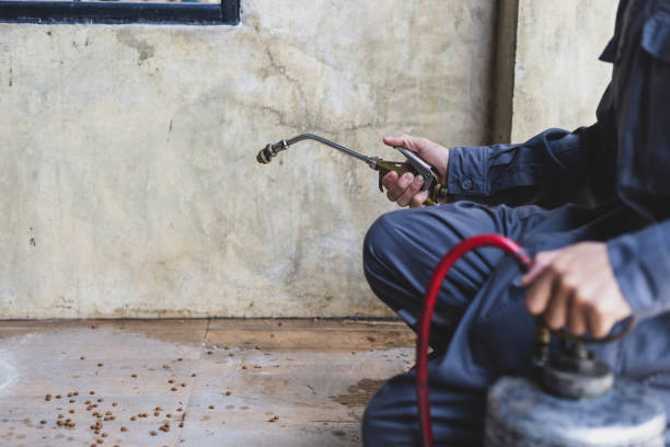 Best Affordable Pest Control Services  in Fords, NJ